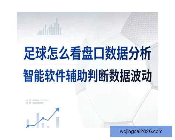 精准足球赛事预测与数据分析助你稳健竞猜盈利