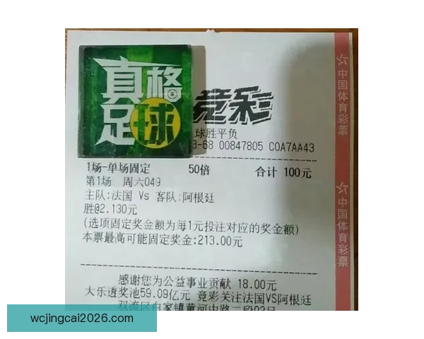 世界杯竞猜热门平台推荐与玩法解析，助你轻松预测赛事胜负